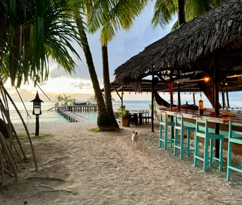 Сент-Мари: райский остров китов и пиратов