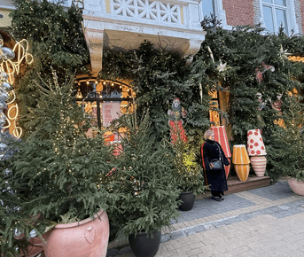 Рождественские каникулы в Калининграде 2026!