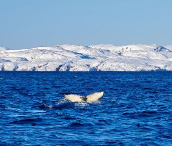 Териберка. Тур-перезагрузка