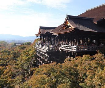 Тур в Японию и Южную Корею: Волшебство Востока!