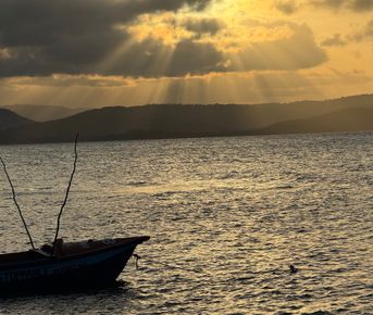 Ямайка экспедиция! Новый год и каждый месяц! . Водопады, горы, пляжи, музеи, история!