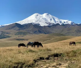 Панорамный Кавказ. Северная Осетия, Архыз, Джилы Су, Чегем и парапланы