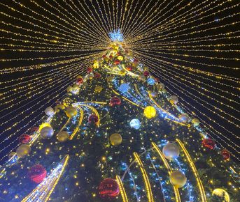 Гастрономический тур Вино&Море: Рождественская симфония вкусов