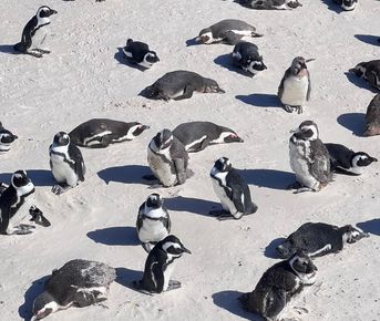 Юар: путешествие на яхте