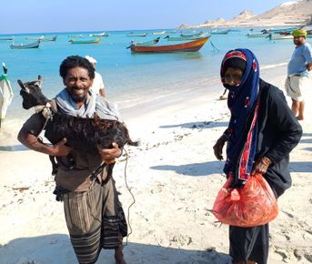 Новый Год (доп.группа) на Сокотре-обещание нового начала. 8 дней