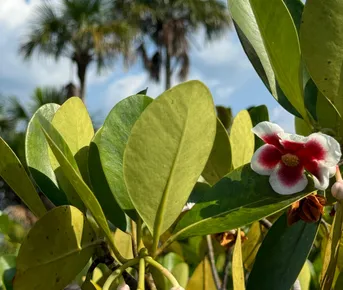 Колумбия: сто лет одиночества (авторский тур)