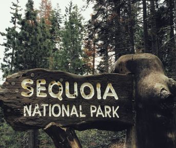 Из Сан-Франциско до Вегаса через Йосемити, Парк Секвойя и Долину  Смерти!