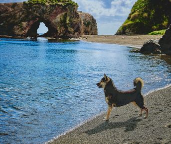 Сокровища Сахалина: маяк Анива, мыс Великан и бухта Тихая