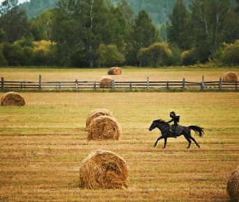 Spirit: душа прерий и гор. Тур для уверенных всадников