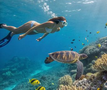 Здесь живут драконы: чудеса Индонезии (Vip-круиз на яхте по островам + отдых на Бали)