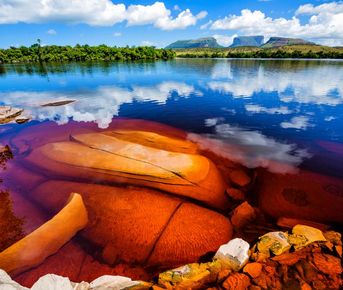 Венесуэла: к подножию Анхеля (включая внутренние перелёты)