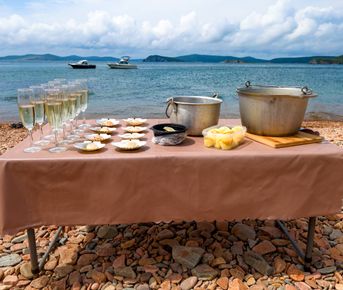 Гастротур на острове Шкота и морские котики