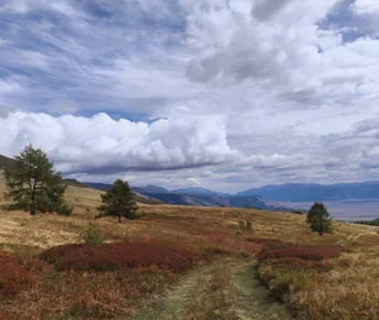 Алтайская Высотка Авто тур