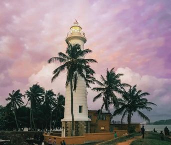 Райская Шри-Ланка: от джунглей до океана!