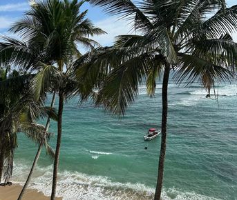 Тур Экзотика Шри-Ланки Pro (10 дней)