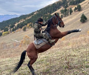 Конный тур Золотая осень в Архызе