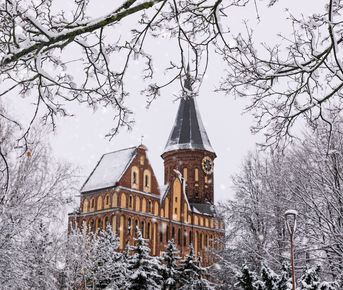 Рождественские истории Кёнигсберга