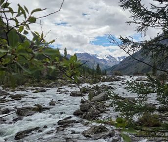 Сибирское здоровье