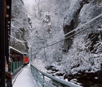 Новый год в горах Адыгеи 2026