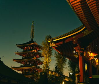 В сердце Японии: гора Фудзи, храмы и огни мегаполиса