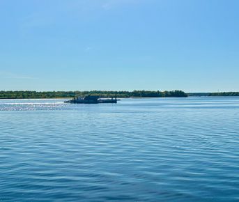 Охота за впечатлениями