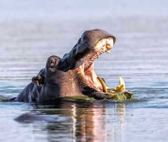 Юар - от Йоханнесбурга до Кейптауна, водопад Виктория