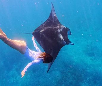 Реальные Мальдивы. Тур для любителей океана