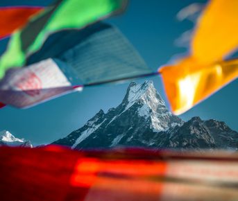 Гималаи. Трек для новичков + практики йоги. 11 дней