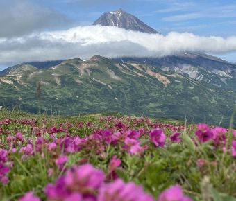 Актив-тур Вулканы, медведи, океан, Камчатский край