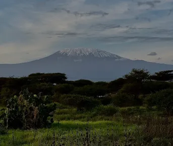 Кения. Масай Мара, Килиманджаро, Великая миграция, океан