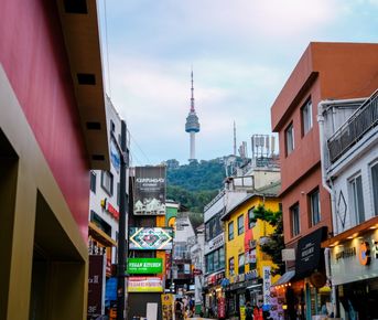 Авторский весенний тур в Южную Корею- Цветение 2026