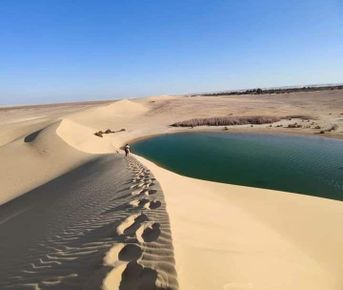 белая пустыня +оазис Эльфаюм за 2 дня