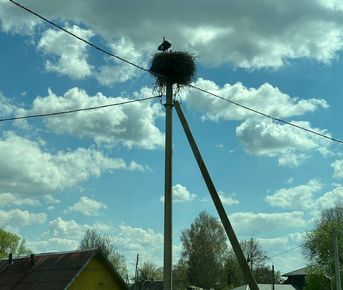 Сула + Обзорная экскурсия по Минску