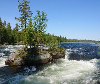 Экстремальный сплав на байдарках по реке Умба