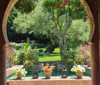 Танжер:Богема у пролива