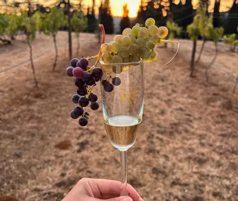 Винный тур в Крым: Весь Крым в бокале!