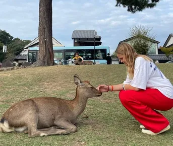 Япония. Фейерверк красок и вкусов. Весна.