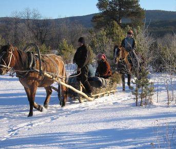 Новогодний тур Сказочные катания