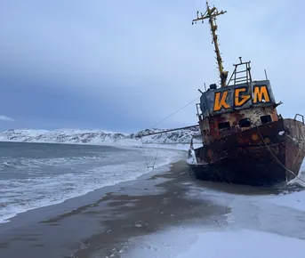 Киты зовут: открой для себя таинственные глубины!