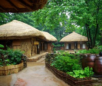 Авторский тур в Сеул Программа здоровья 24-31 Марта 2026