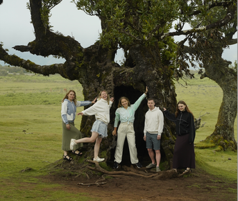 Madeira: 7 дней исследования острова