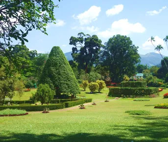 Ланкийский экспресс + отдых на побережье