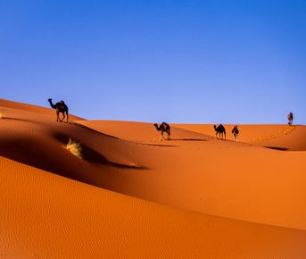 Марокко: путешествие через Сахару к кино-локациям