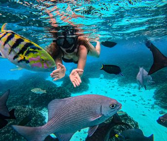 Туры На Мальдивы. Все Включено в Новом отеле