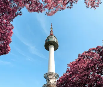 Сокровища Южной Кореи