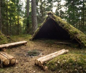 Выходной бушкрафт. Основы выживания в Подмосковье.