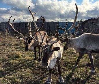 Энергия Байкала: горячие источники, природа, настоящие северные олени