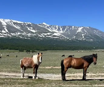 Поход по дикой Монголии без рюкзаков — горы, озера и бескрайние просторы