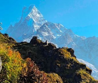 Непал. Треккинг с комфортом по самым красивым местам