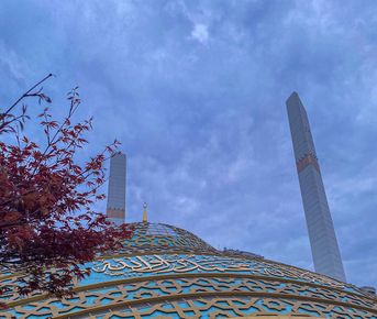 Грозный, Шали, Аргун